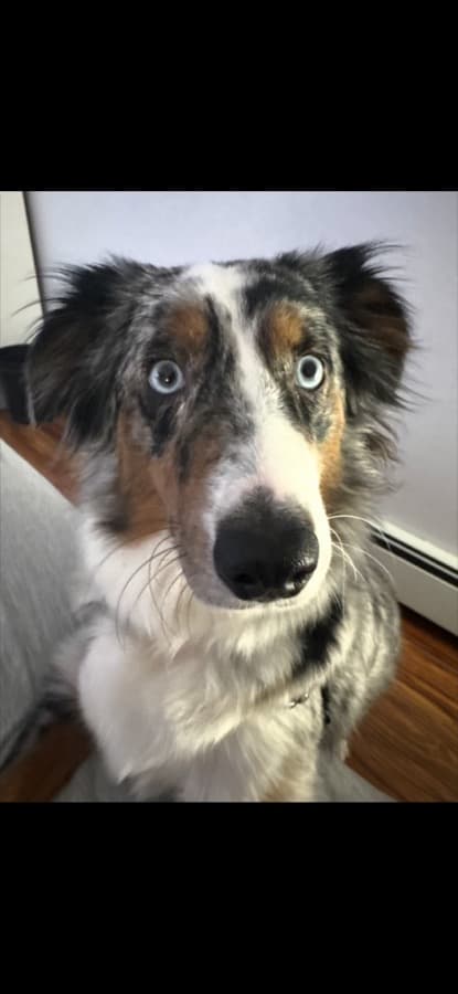 Mila, Head of Partnerships